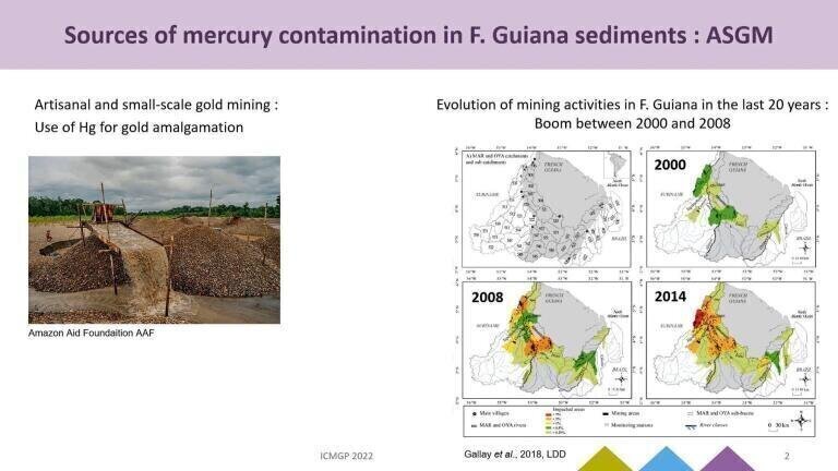 Assessment of Artisanal and Small-Scale Gold Mining Mercury Pollution in French Guiana Watersheds Using Hg Stable Isotopes